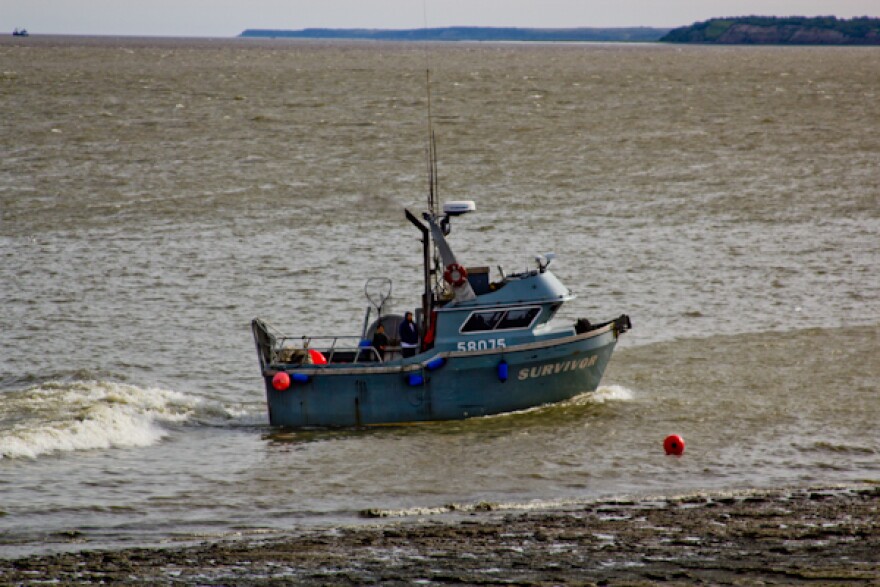 IMG_9278.jpg