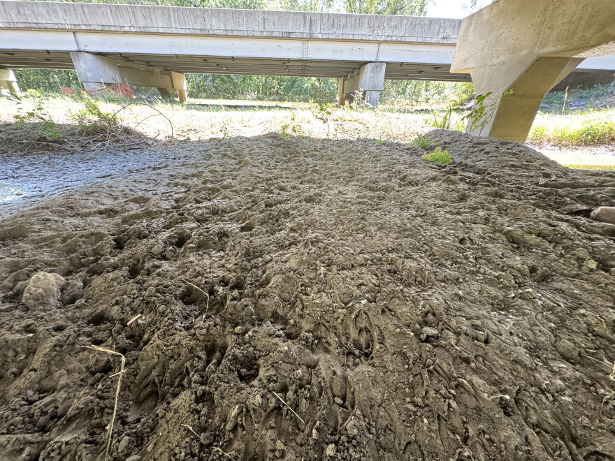 A photo of dried mud underneath a Missouri overpass with hoof and paw prints, indicating the movement of animals.