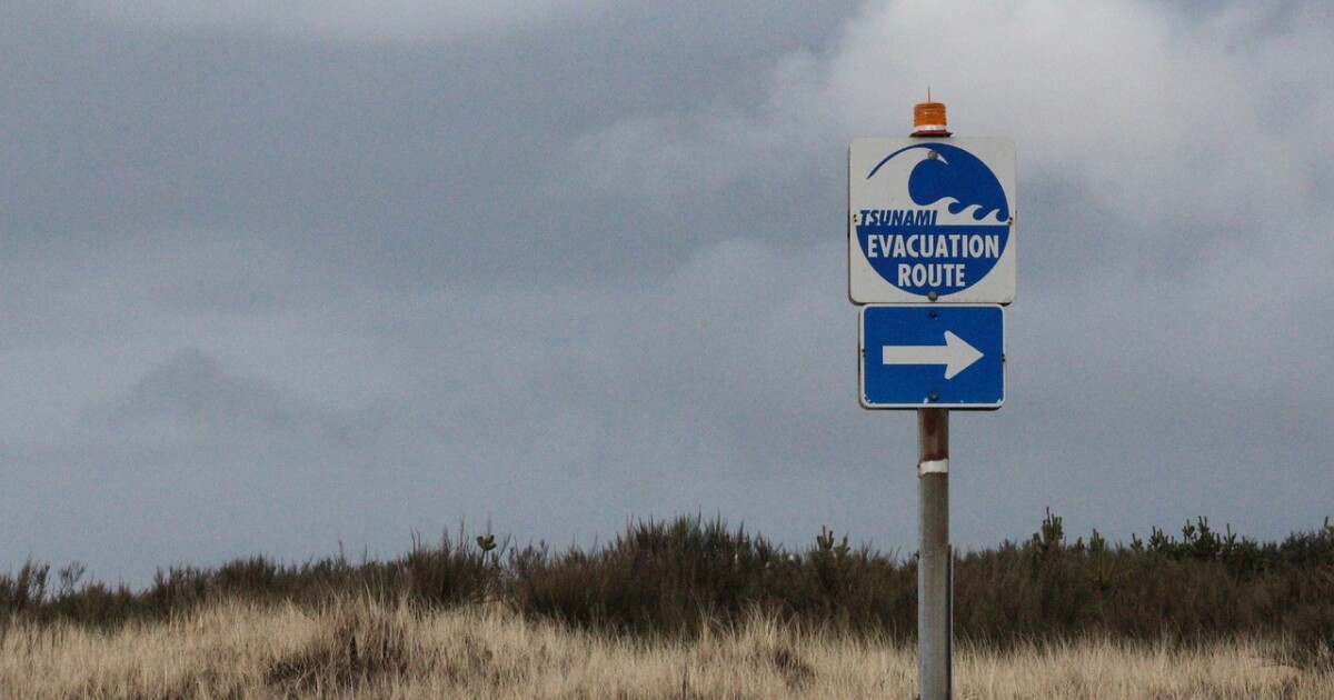 When did the tsunami in 2025 happen When did the tsunami in 2025 happen