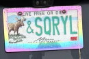 This vanity plate references the television series "The Adventures of Rocky and Bullwinkle and Friends."