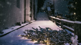 Not quite right: The city wants you to remove all lights, ornaments and stands before placing your tree curbside.