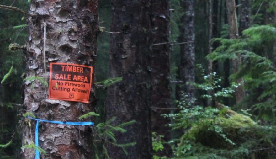 A timber sale sign is posted in the Tongass National Forest on Prince of Wales Island. The new Forest Service regional forester for Alaska, who takes over in April, was a district ranger on the island. (KRBD photo)