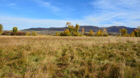 The Kamas Meadows
