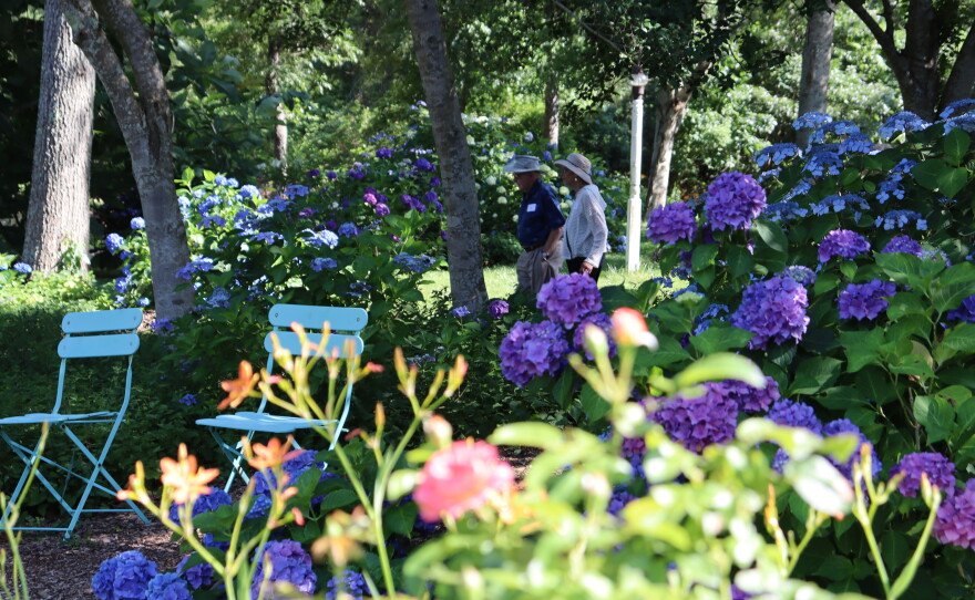 Photos of the home garden of CAI's The Garden Lady, C.L. Fornari 