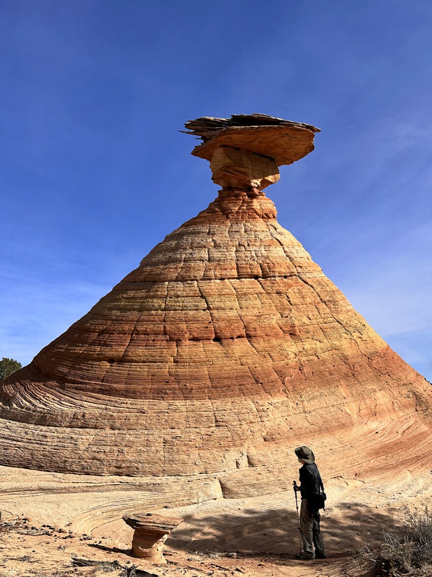 Sandstone rock formations take on outlandish shapes along the Arizona-Utah border.