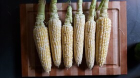  Ears of corn on a wooden cutting board