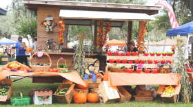 Photo of a fall festival in Orange Park, Florida.