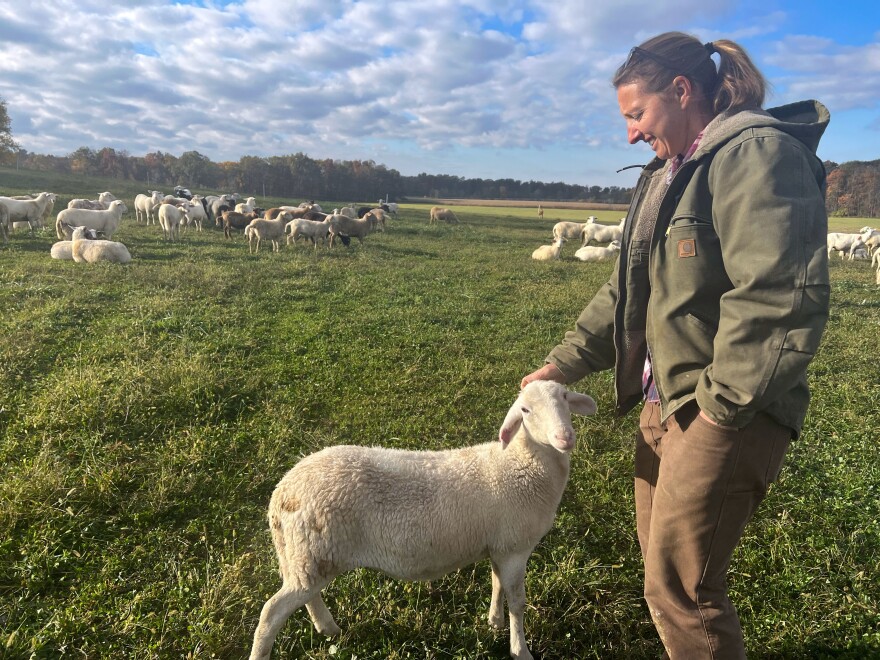 A woman wearing a dark green jacket and khaki pants looks down at a lamb and pets it. She is standing in a large green field, with several more sheep in the background and a blue sky has lot of white clouds to the horizon.