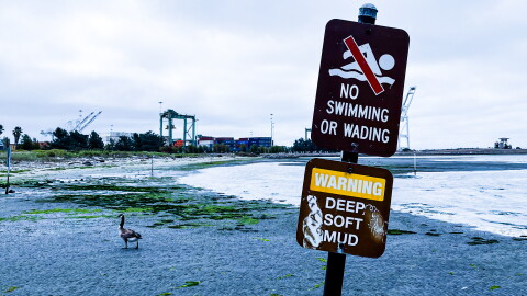 The beach at Middle Harbor Shoreline Park that Maria BC visited frequently while writing Marathon.