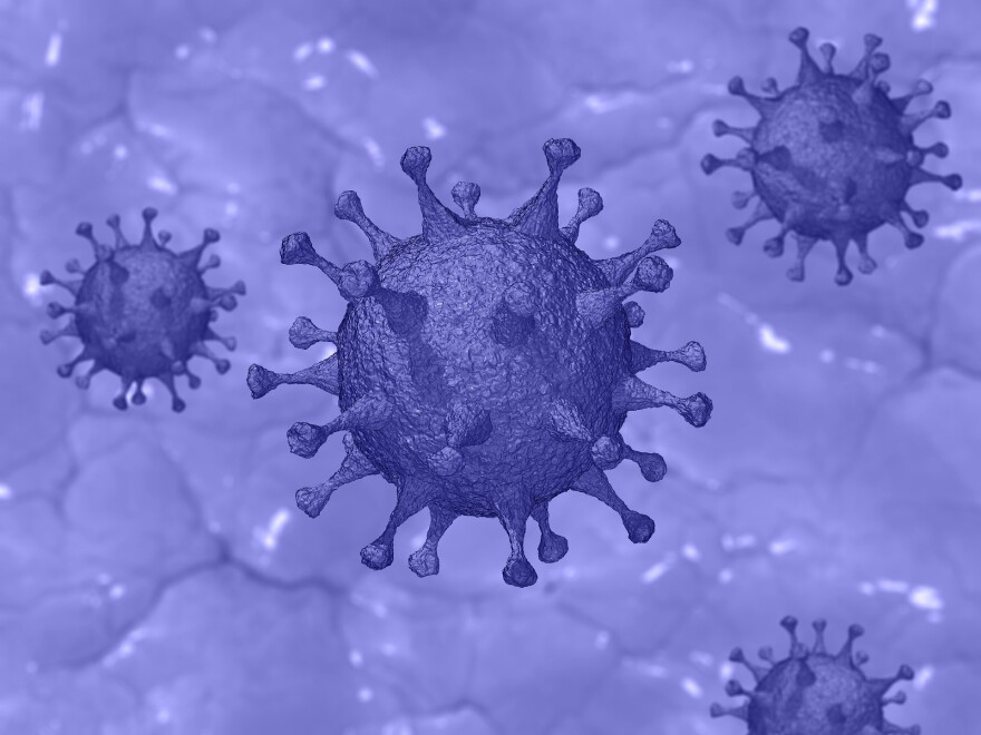 A picture of the COVID virus. 