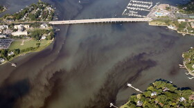 A harmful algal bloom detected in the Lafayette River in July 2026.