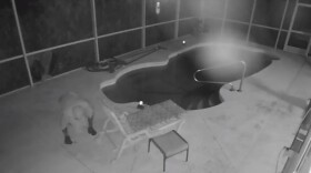 A burglar makes his way inside a Waldo home on Sept 10th, 2018, after tearing open the screen to get on the pool deck. The case remains unsolved. (Video Courtesy of the Alachua County Sheriff's Office)