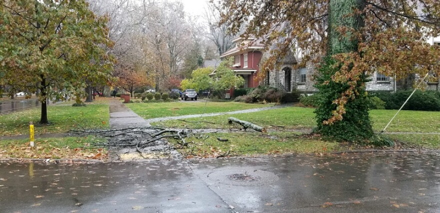 KU/LG&E say when power lines and limbs are down following a storm, passersby should let experts pick them up.
