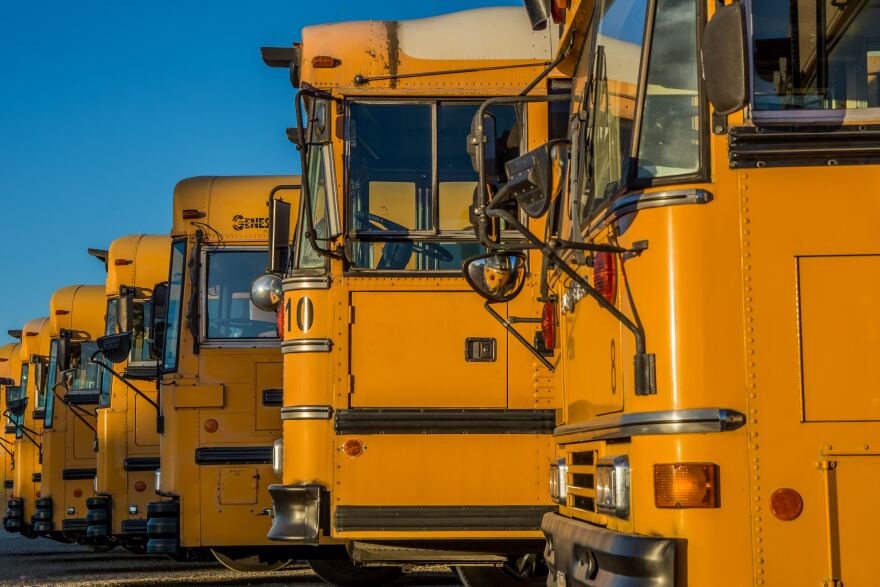 A fleet of school buses is parked in a row