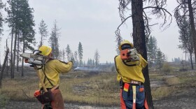  Workers remove trees impacted by the Gray Fire near Interstate 90. The agency must remove than 30 trees before I-90 can be safely reopened.<br/>