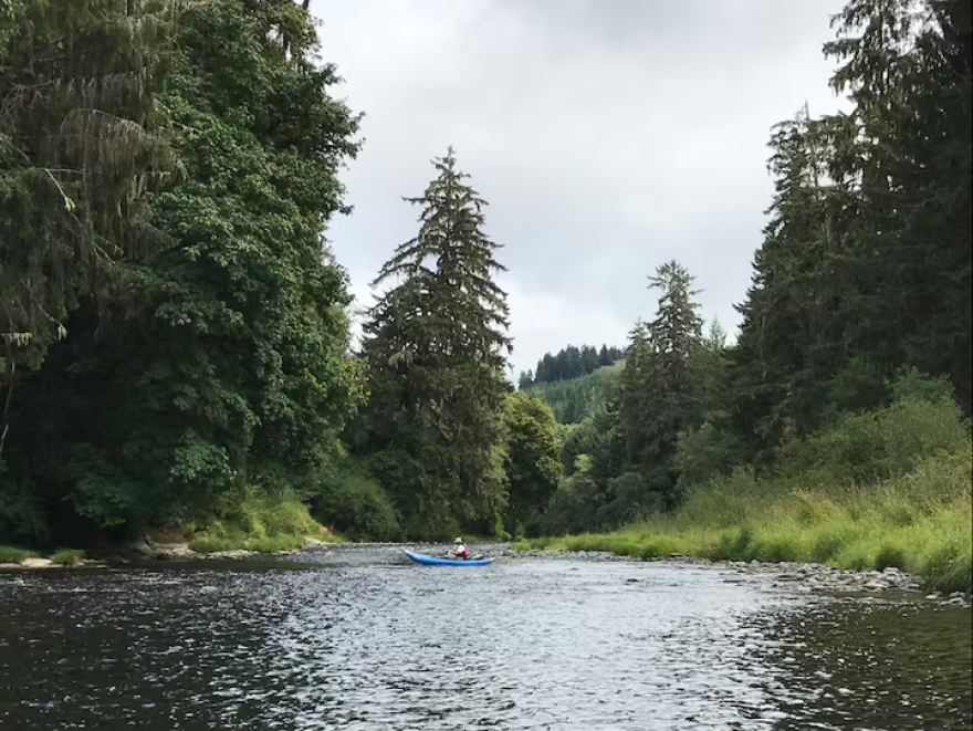 FILE: A kayaker maps part of the Siletz River in Lincoln County, Ore., in 2017.