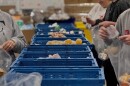 Staff at The Foodbank Inc. stand on either side of blue crates, filled with non-perishable items, to pack boxes 
