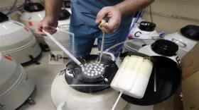 An embryologist displays some of the frozen sperm stored at a fertility clinic.