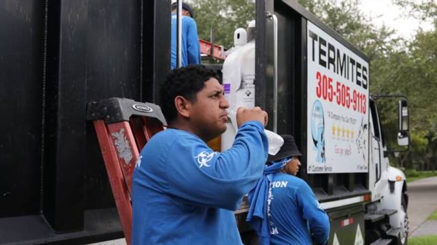  On a sweltering day, Emanuel Melgar, an employee of SPC Termites, takes a swig of water during a break from tenting a Miami Springs home to help eliminate the pests on July 5, 2023. 