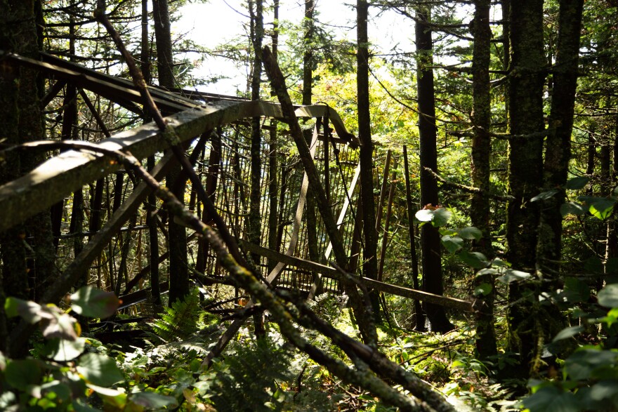 A collapsed metal structure in the woods