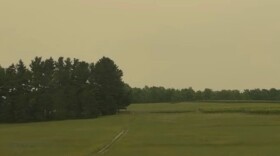 Smoky skies at Shady Lane Cellars in mid-July. (Photo courtesy of Liana Rose Smith)