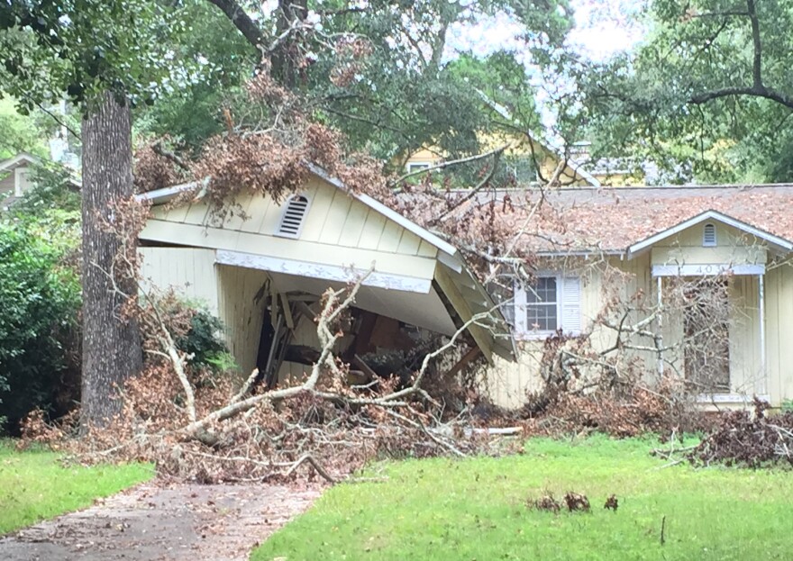 A home hit by a large tree during hurricane hermine