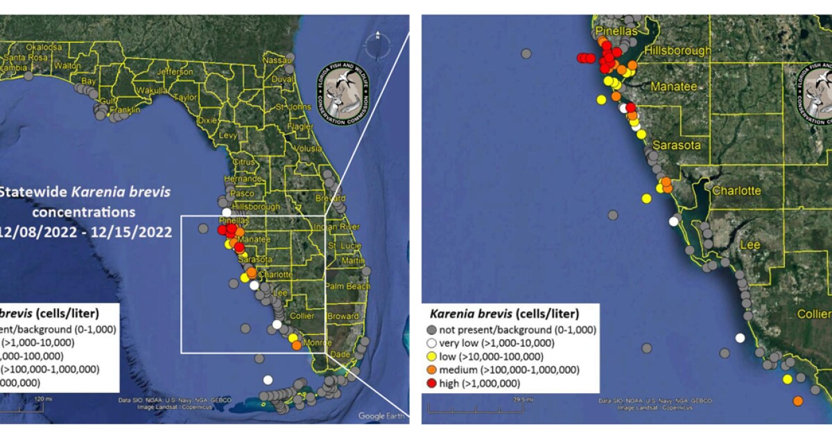 Red tide found at Clearwater Beach, but gone from Sarasota beaches WUSF