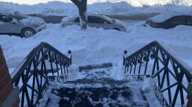 Freshly shoveled steps in Albany