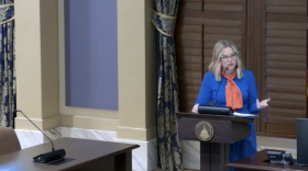 Laynie Gottsch speaks to lawmakers at the Oklahoma State Capitol on Tuesday, September 29. Gottsch is a foster parent and a mentor for the Foster Care and Adoptive Association of Oklahoma.