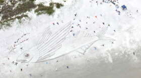 flying-fish-2014-ii