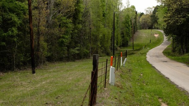 A heavily wooded property off of a country road near Athens in Henderson Co. on April 1, 2019. Diode Ventures has withdrawn plans for a datacenter in the East Texas county.