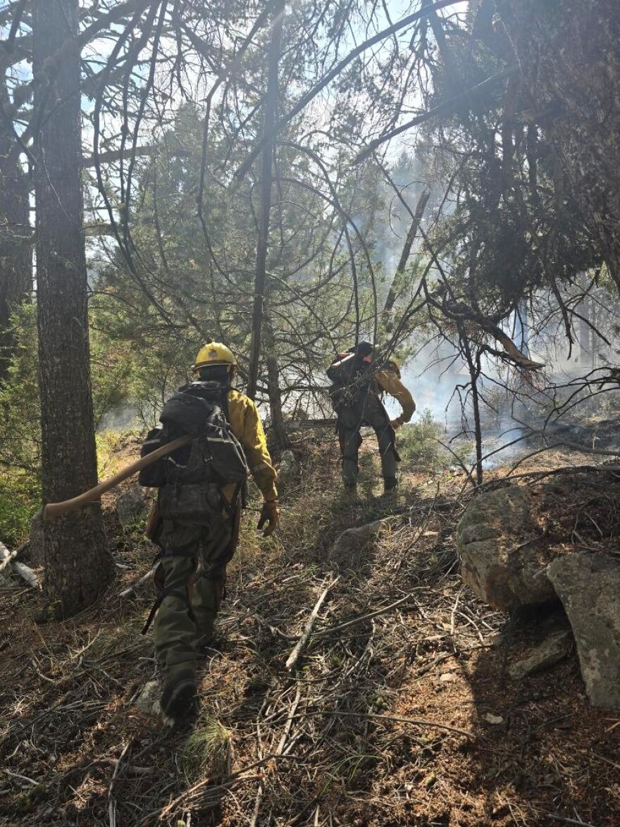 Two firefighters in the middle of a forest drag a hose along the ground toward an area where there is some flames and smoke.