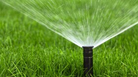 automatic sprinkler system watering the lawn on a background of green grass, close-up