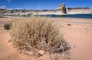 A lasting megadrought would be bad news for the Colorado River and its reservoirs. That includes Lake Powell, seen here April 24, 2024, at Lone Rock Beach in southern Utah.