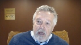 Republican Rep. Steven Reick calls for legislative hearings into the Department of Children and Family Services during a virtual news conference Thursday. 