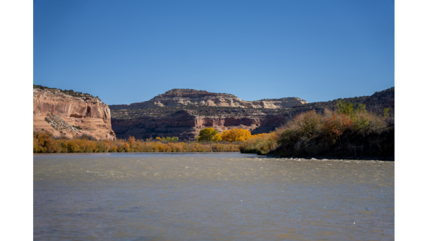 Colorado Parks and Wildlife has declared the Colorado River infested with Zebra Mussels from the confluence of the Eagle River to the Utah border, near where this photo was taken.