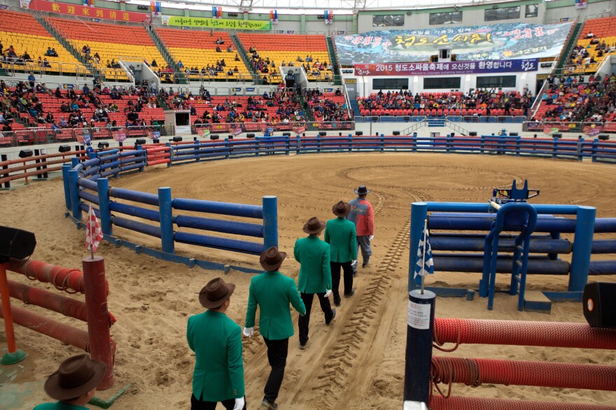 The judges, wearing green blazers, white gloves and cowboy hats, enter the 10,000-seat stadium and take their places before the bullfighting begins.