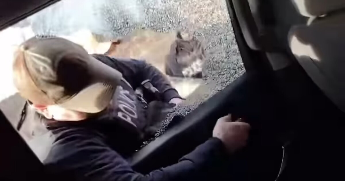 ID lawmakers to partner with national conservative think tank to bring more immigration bills