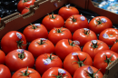 A close-up of a box full of bright red tomatoes.