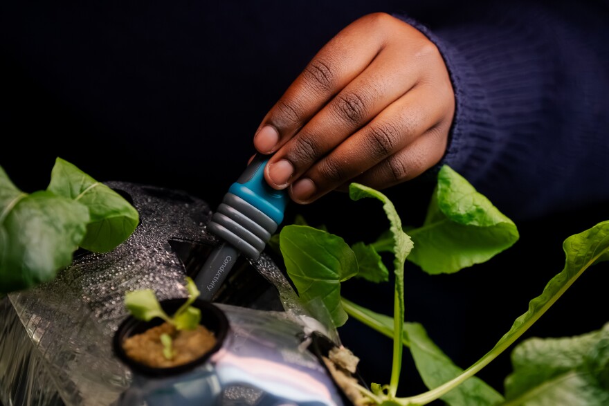 University City High senior Ra’keira Wallace checks the conductivity of water during an agriculture sciences class at the school on Wednesday, March 4, 2026, in University City, Missouri.