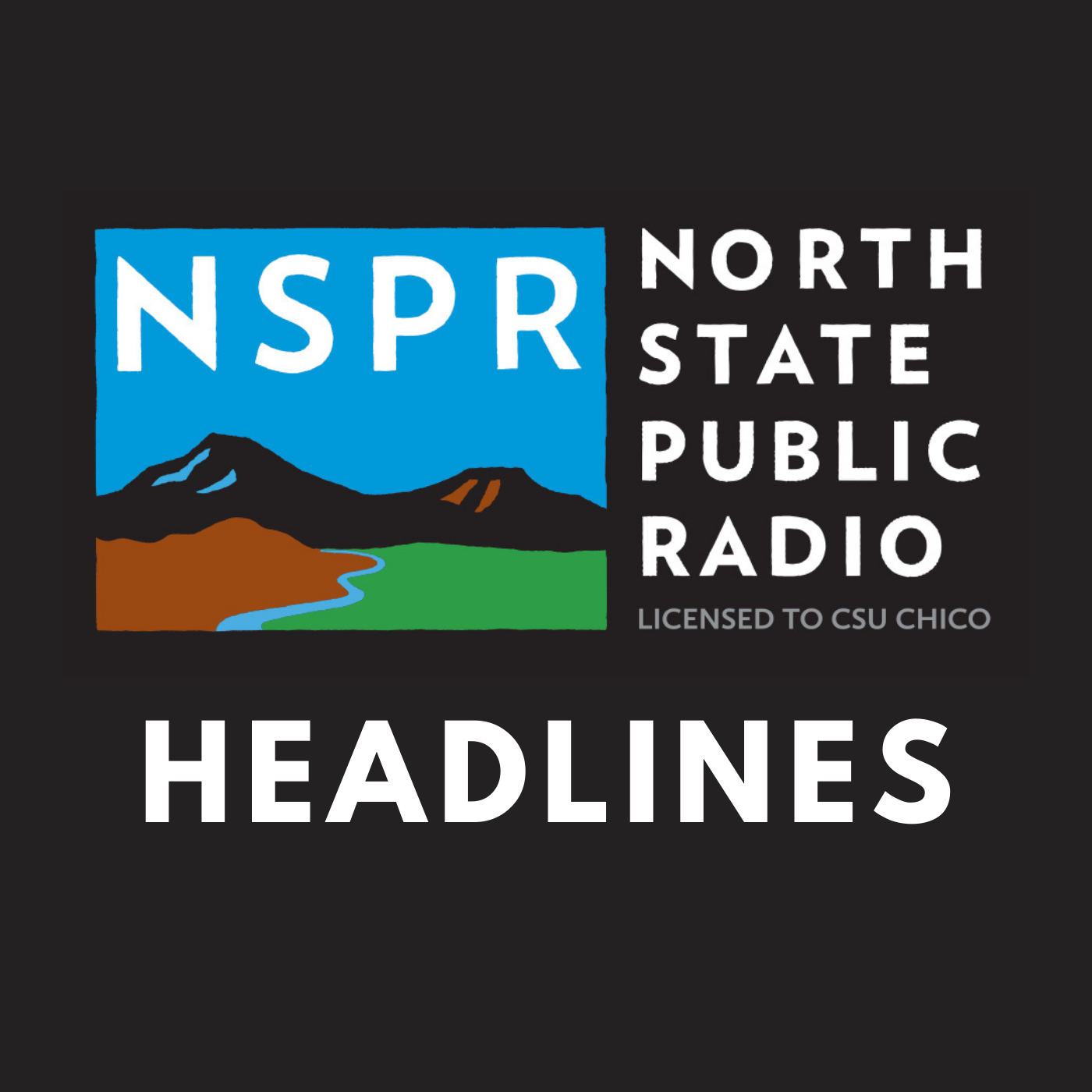 NSPR Headlines cover