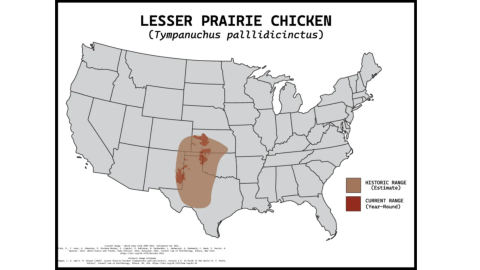 The range of the lesser prairie-chicken is depicted by this map.