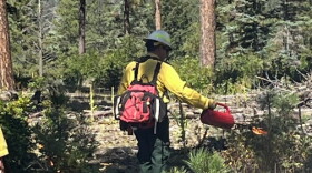 Fire managers ignite a prescribed burn.