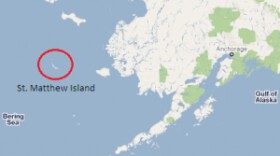 St. Matthew Island sits just north of the 60th Parallel. Like Sitka’s St. Lazaria, St. Matthew is part of the Alaska Maritime National Wildlife Refuge system.