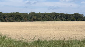 The tract of land in Cape Charles where a resident says aerial pesticide spraying has contributed to health issues, as seen in September 2026.