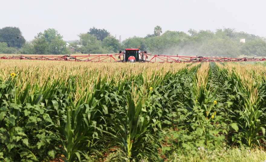 A tractor sprays a corn field for Spider mites Wednesday May 6, 2026 in Edinburg, Texas .(Delcia Lopez | MyRGV/ dlopez@themonitor.com)