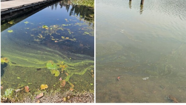 Idaho public health agencies have issued public health advisories for North Idaho’s Fernan Lake and the upper end of Hayden Lake.
