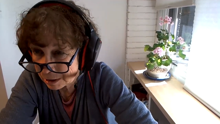 Heart of Illinois Sierra Club Secretary and Conservation Co-Chair Joyce Blumenshine says bad air quality can lead to the most costs for those who can least afford them. She said citizen advocacy has led companies and governments to make changes to protect the environment.