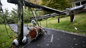 Power lines and tree branches cover a sidewalk in Mansfield, Connecticut. during a nor’easter on Sept. 27, 2026.