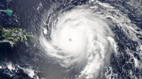 (Photo: The News Service of Florida)